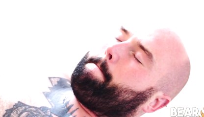 Bear Justin West Drills  cub after Blowjob