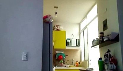 fumgcocm